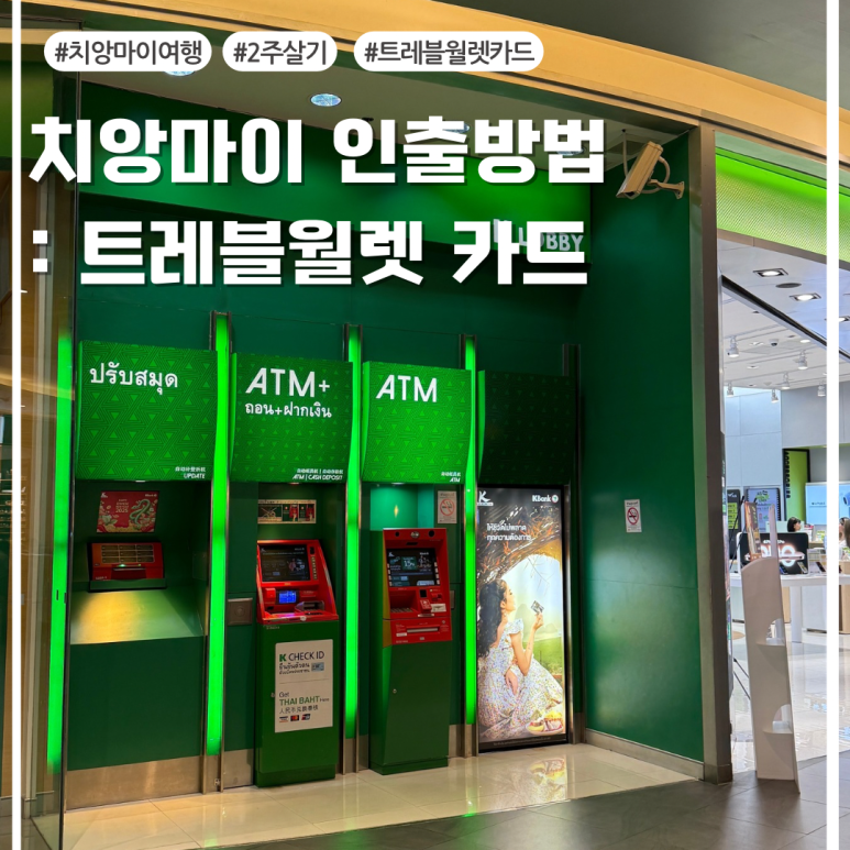 윤트레블 이미지