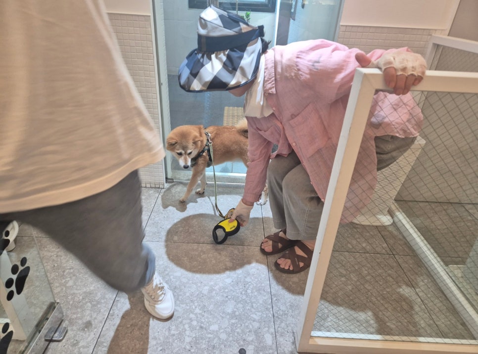 보담 이미지