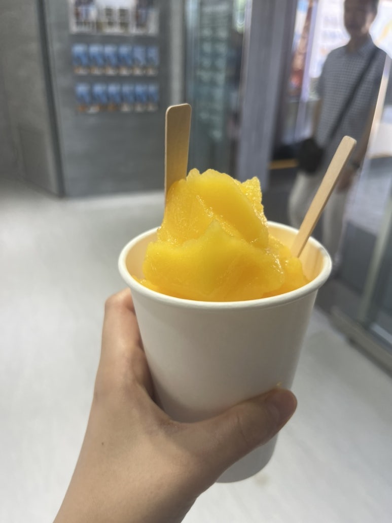 오늘두여행 이미지
