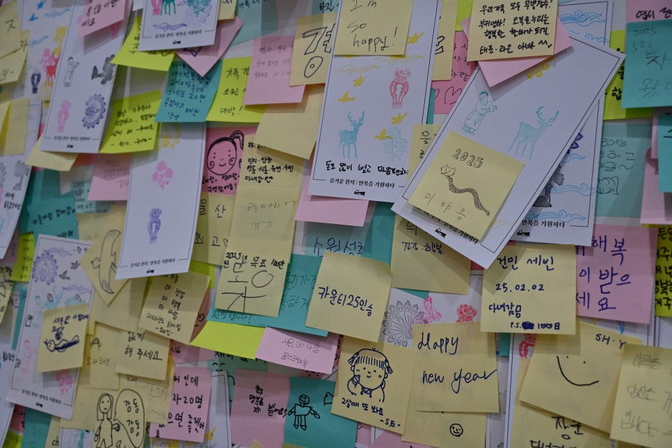 (주)피스페이스 이미지