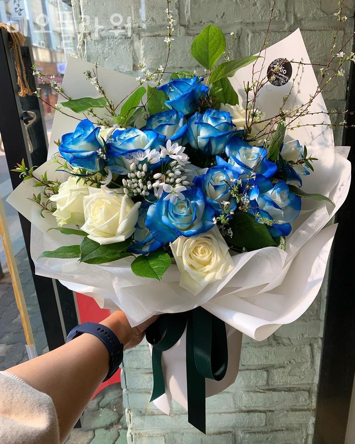 미오플라워 이미지