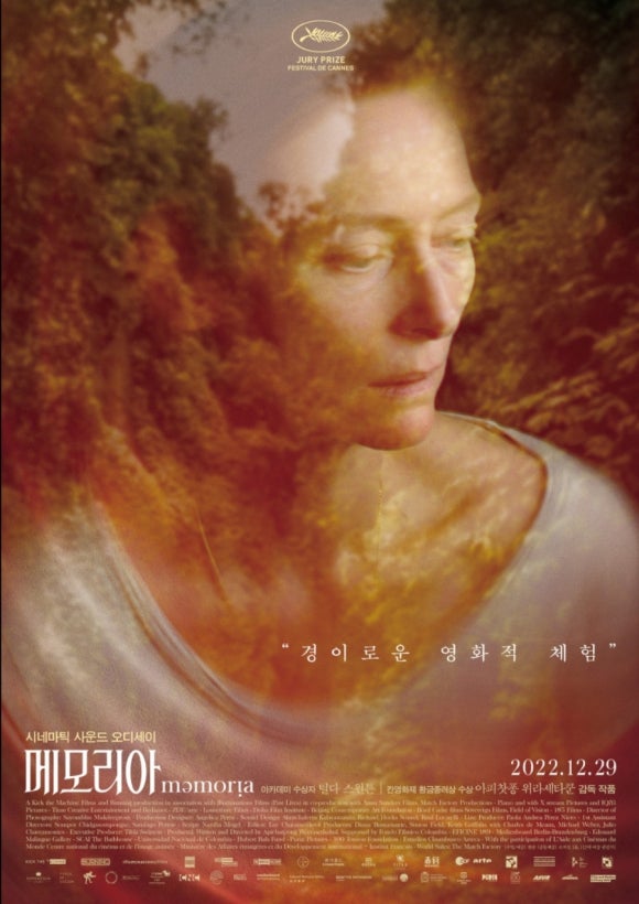 메모리아 이미지