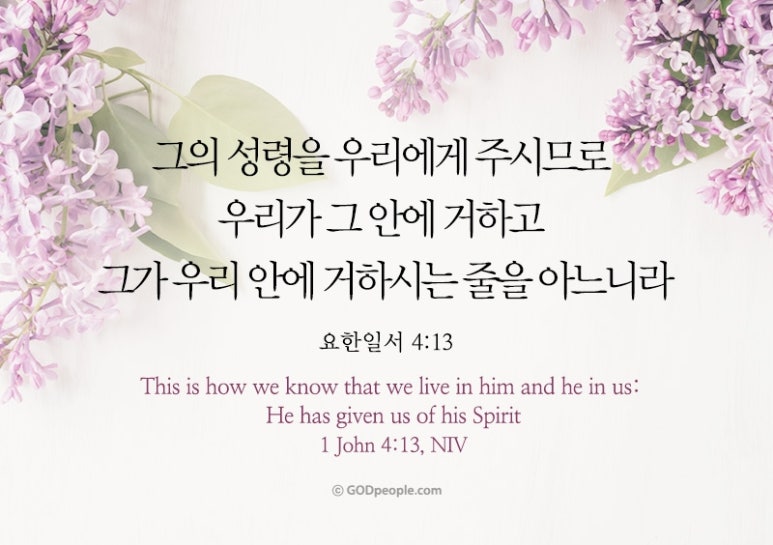 그안 이미지