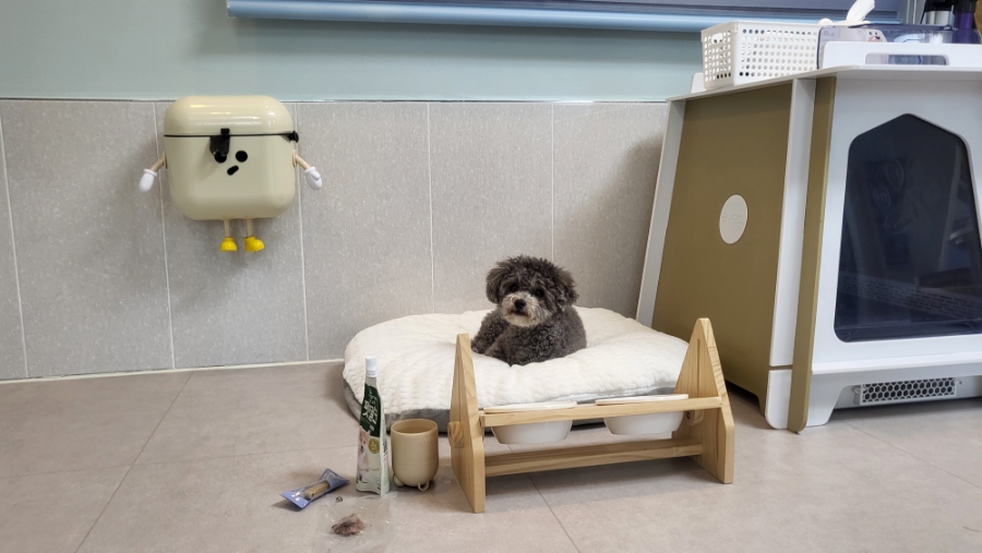 스테이지이플 이미지