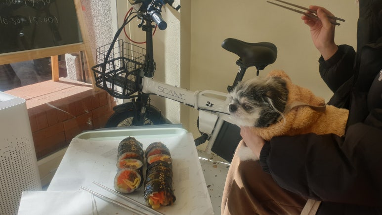 능동김밥 이미지