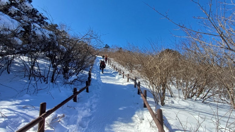 태백산 천제단 이미지