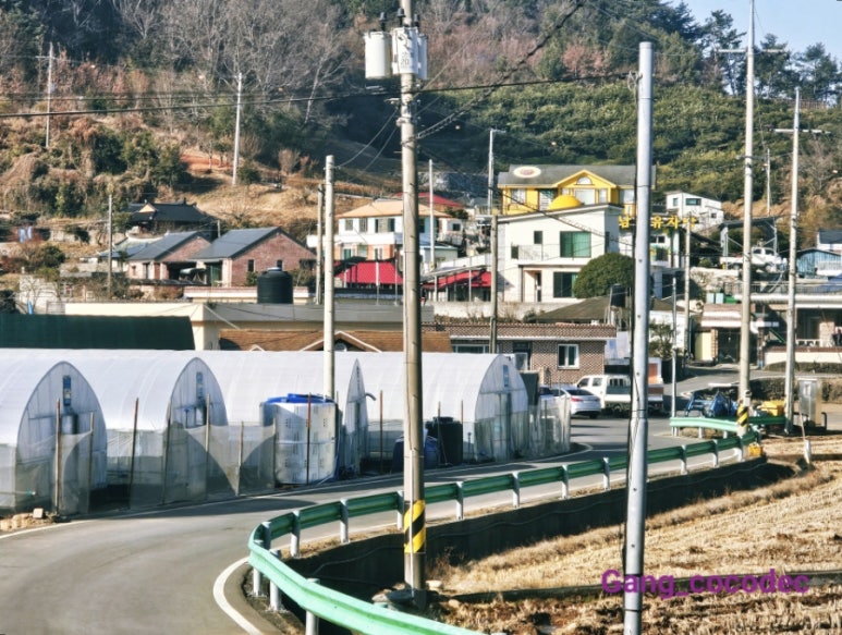 빵삼이 이미지