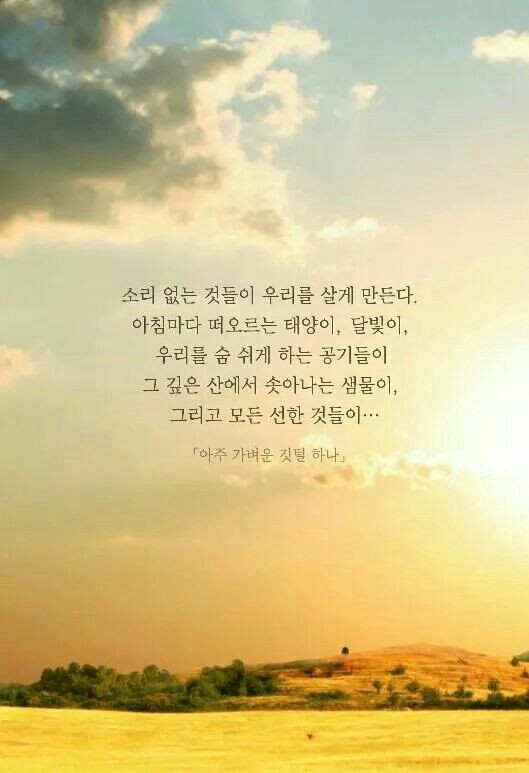 로페 이미지