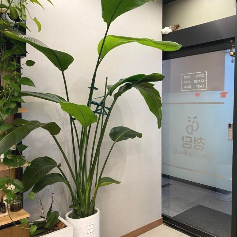 힐링앤뷰티 이미지