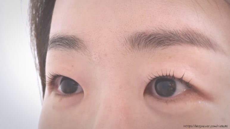 올단 이미지