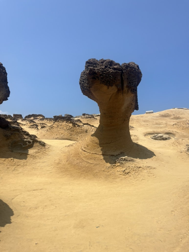 오늘두여행 이미지