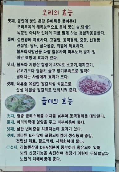 청와오리 이미지