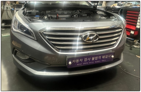 포니카센타 이미지