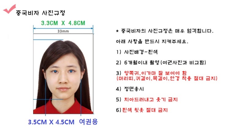 글로벌투굿비자 이미지