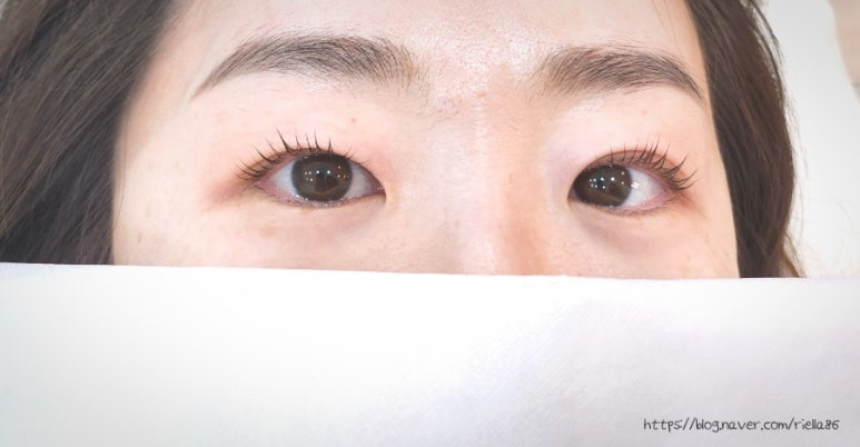 올단 이미지