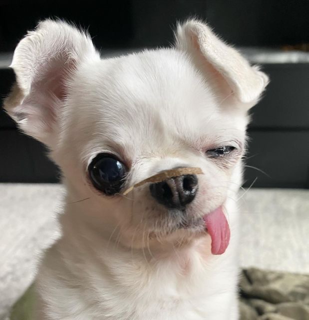 이마트24 편의점 이미지