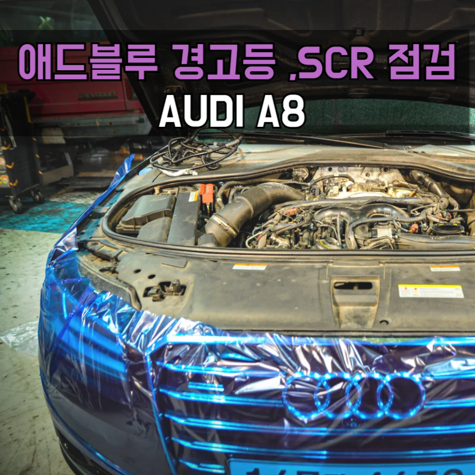 준게라지 이미지