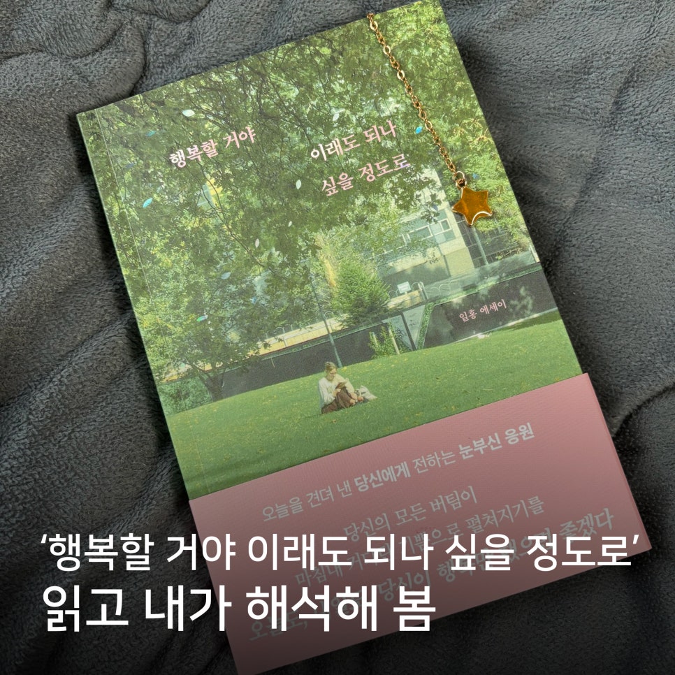 일홍 이미지