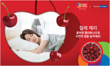 루시드슬립 이미지
