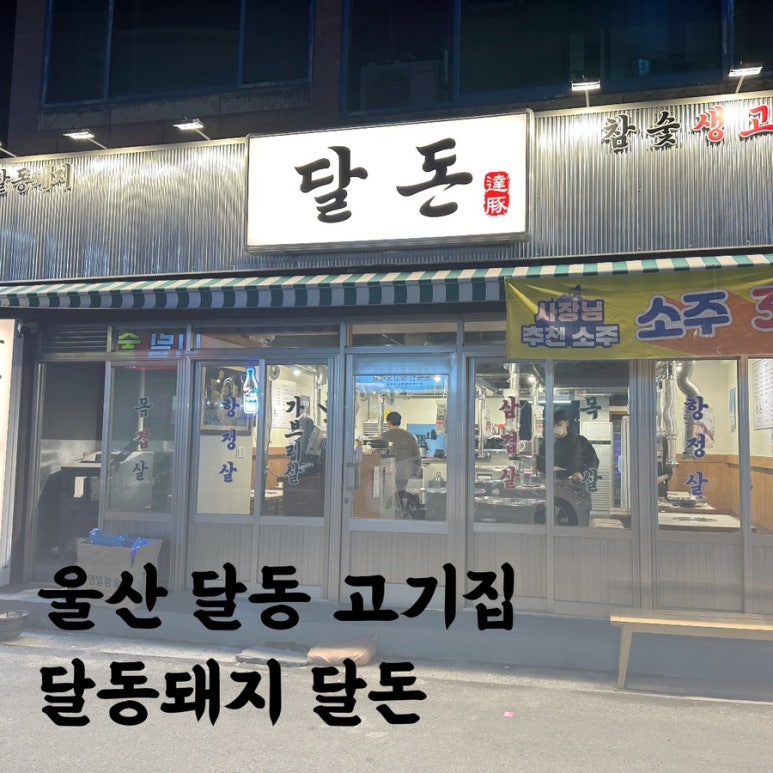 달동돼지달돈 이미지