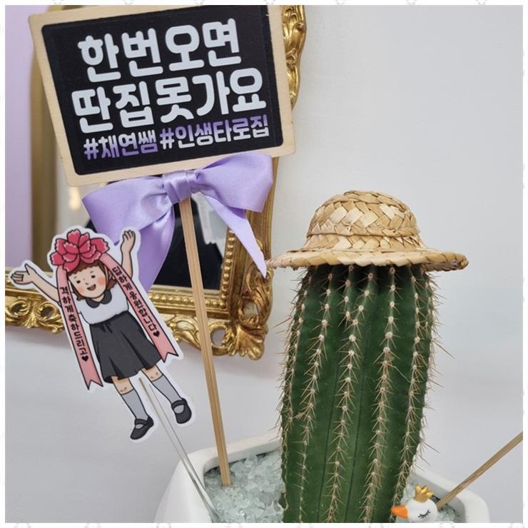 프라하&타로 이미지