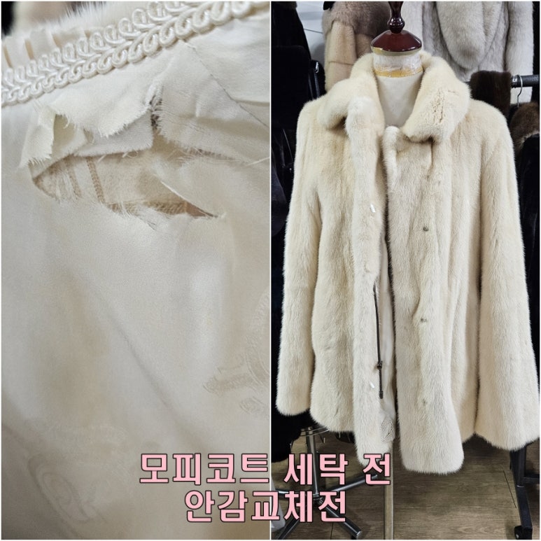 대성안감 이미지