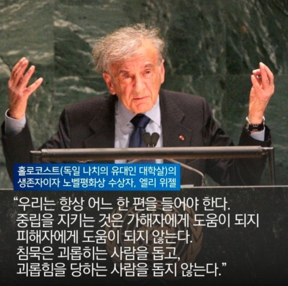고양이투어 이미지