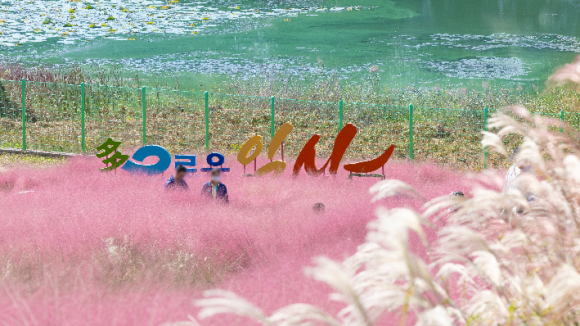 더이로움 이미지