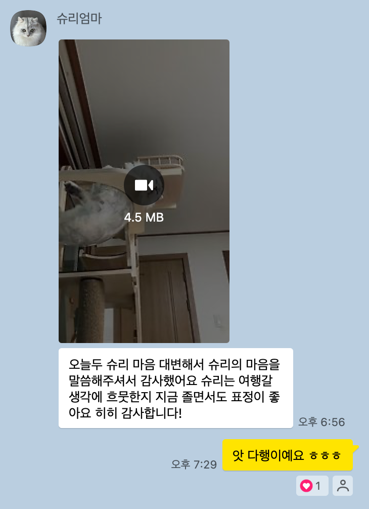 소풍커뮤니케이션 이미지
