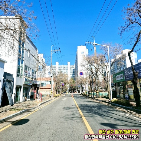 삼호당구장 이미지
