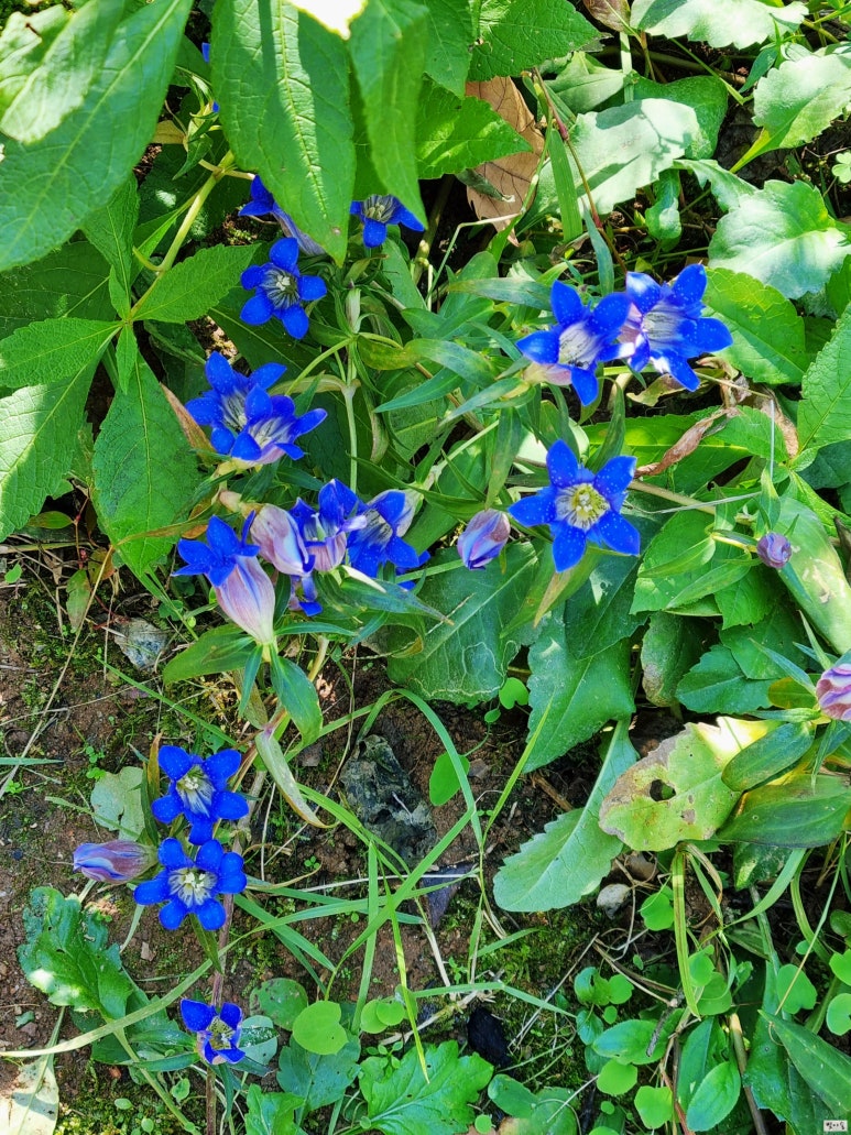 (주)이슬환경 이미지