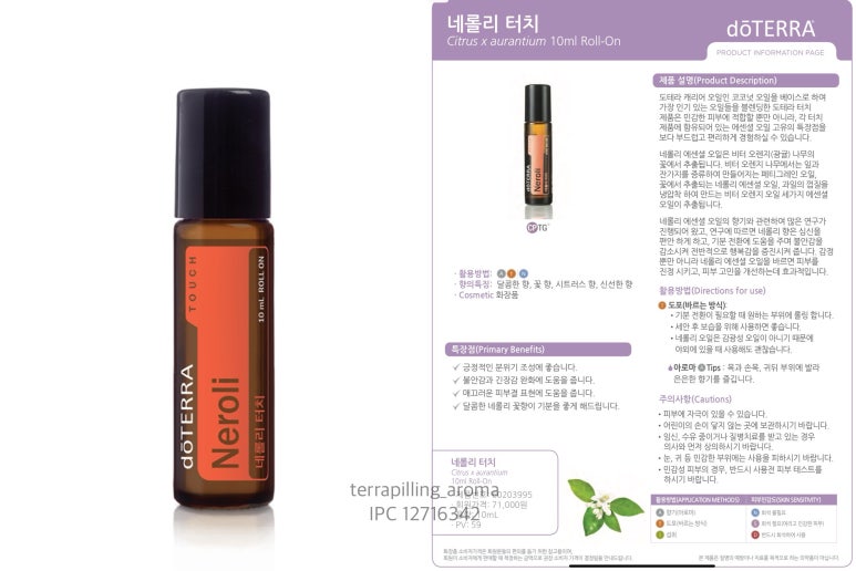 퀸도테라 이미지