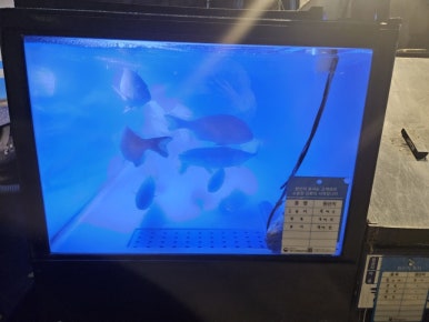 훈남농수산마트 이미지