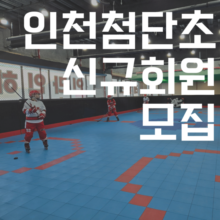 플레임스인라인하키클럽 이미지