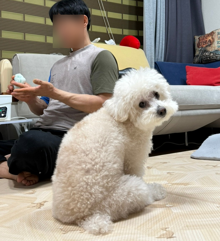 유알픽 이미지