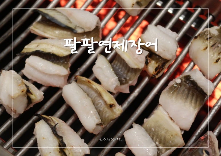 팔팔연제장어 이미지