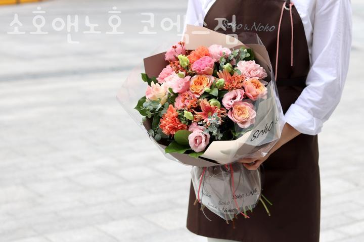 소호앤노호 이미지