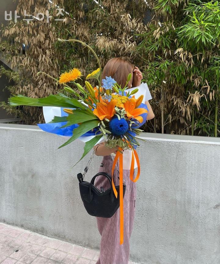 누아즈 이미지