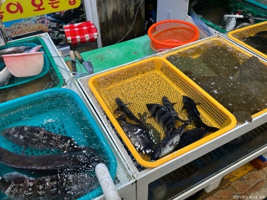 노변간판 이미지