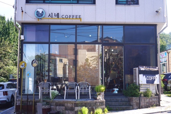 엘시네 이미지