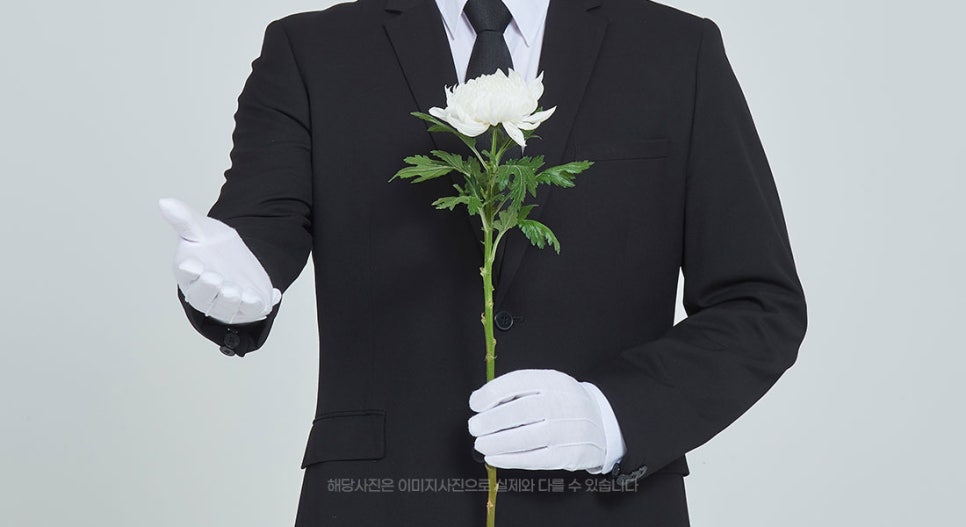 중앙장의사 이미지