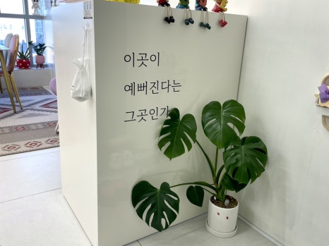 아우라 플라즈마 이미지