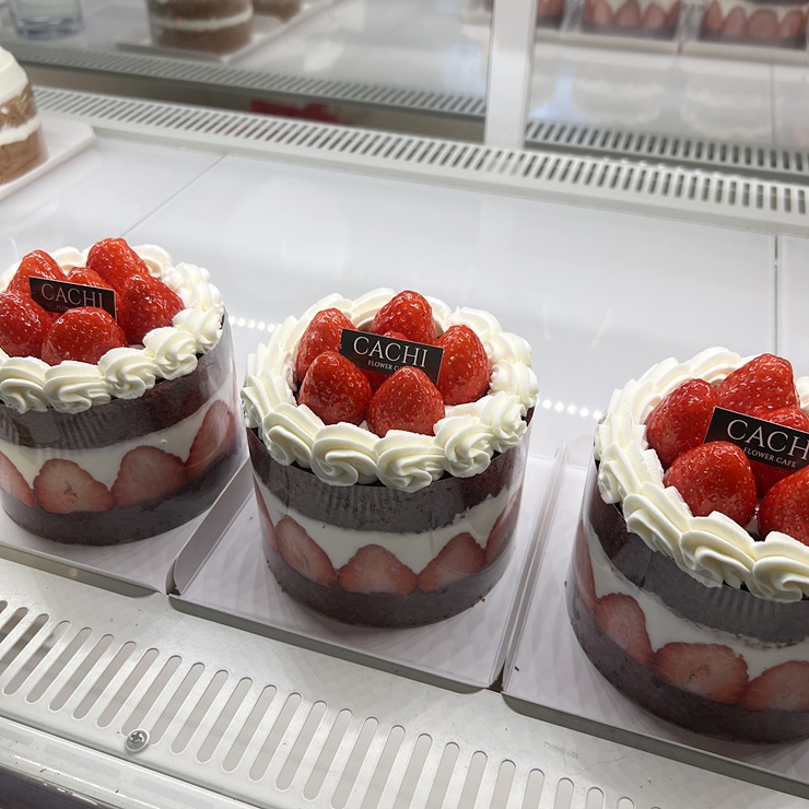 카페해요 이미지