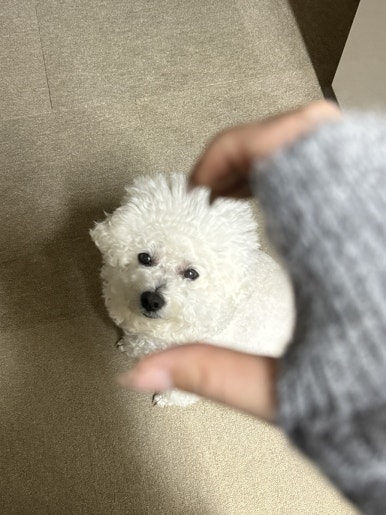 없 음 이미지