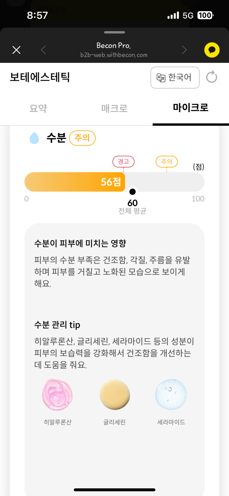 보테에스테틱 이미지