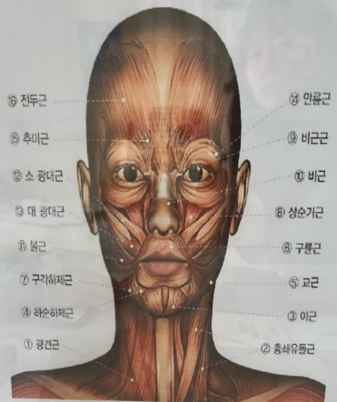 도도테라피 이미지
