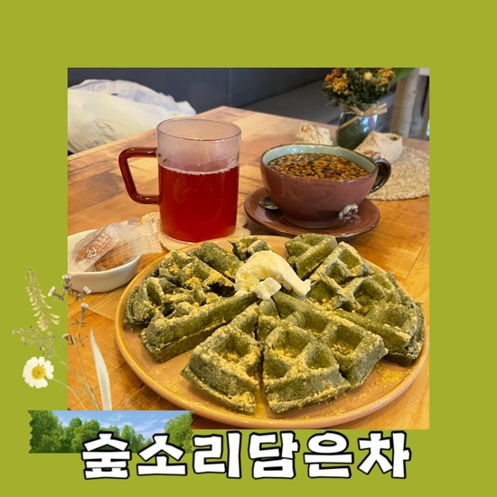숲소리담은차 이미지