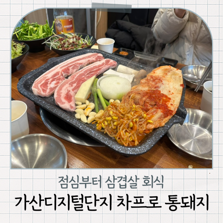 차프로통돼지 이미지