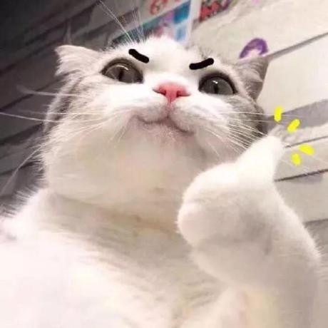 동원성 이미지