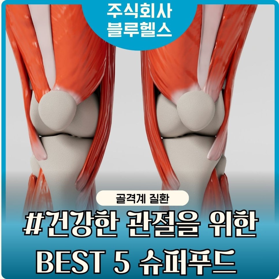 지금건강 주식회사 이미지